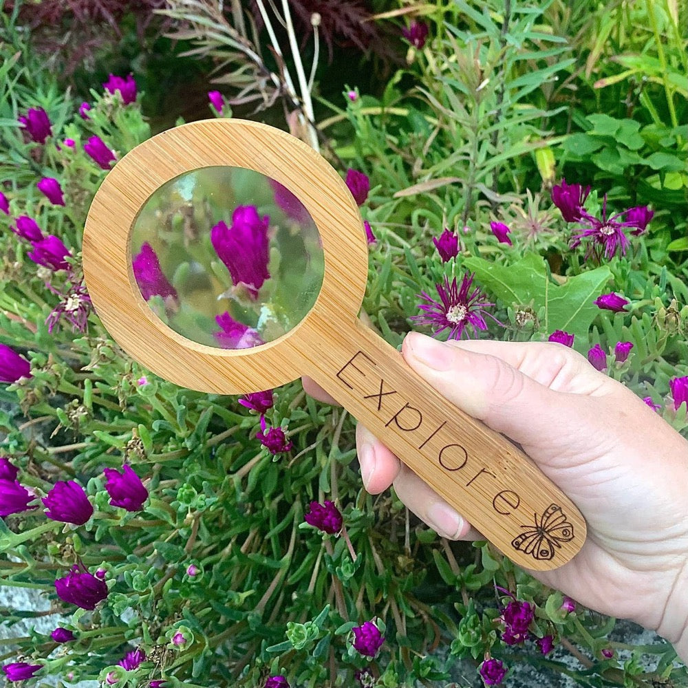 Magnifying Glass, Bamboo, Children, Explore, Toy (+ Options)