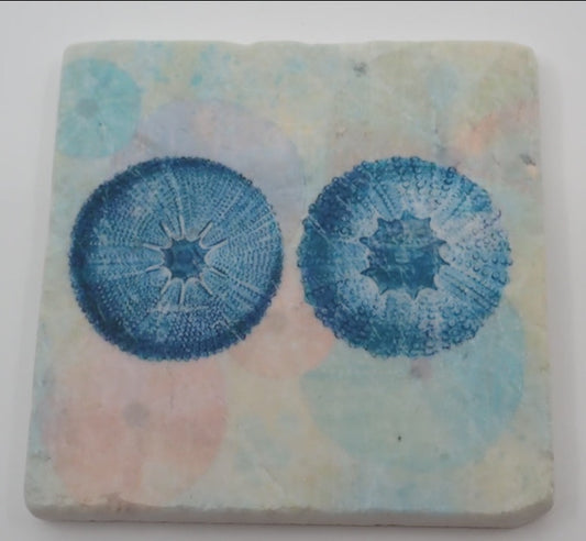 Coasters, Marble, Sea Urchins, Printed Art