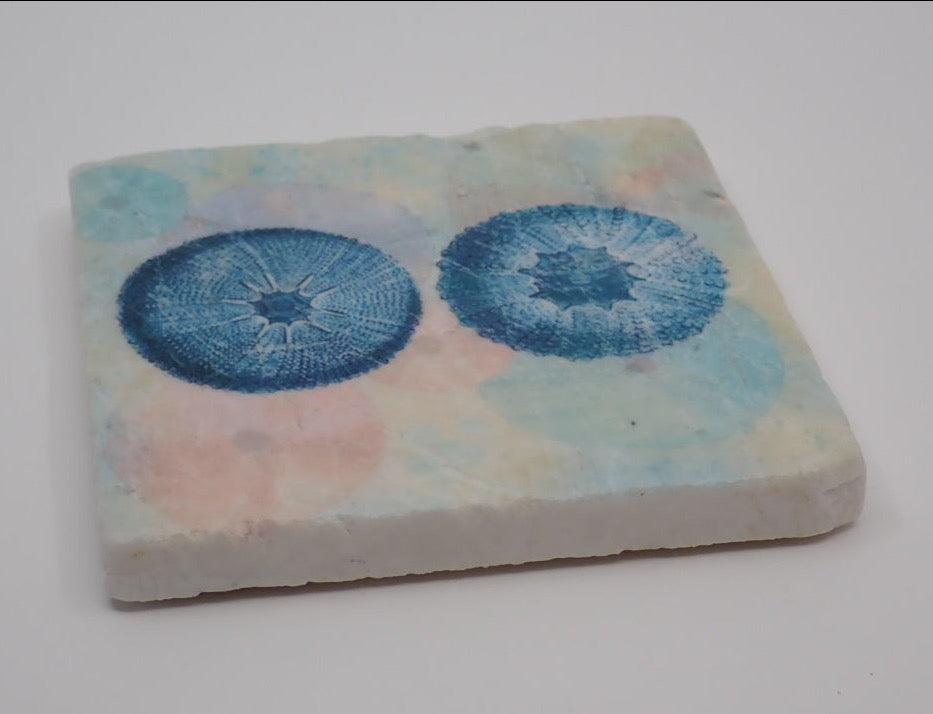 Coasters, Marble, Sea Urchins, Printed Art