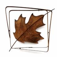 Wall Sculpture, Maple Leaf Frame